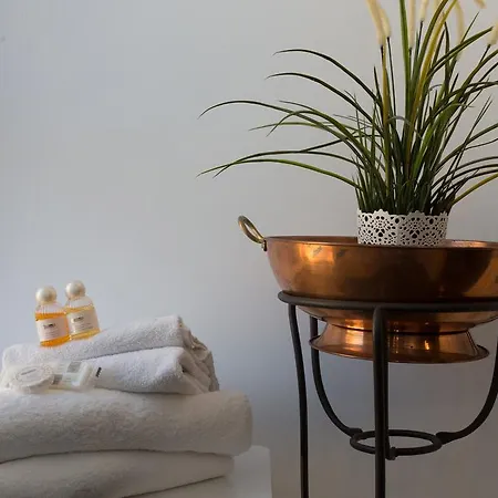 招待所 Relais Incantesimo Vaticano 罗马